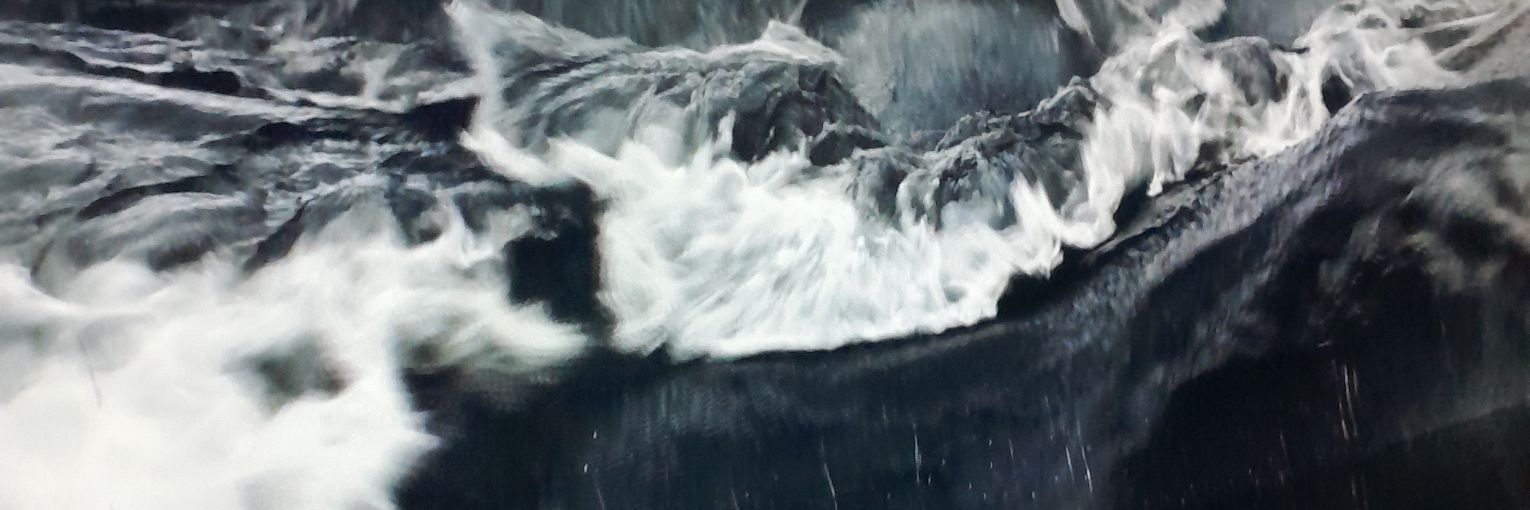therealriimo's profile banner image