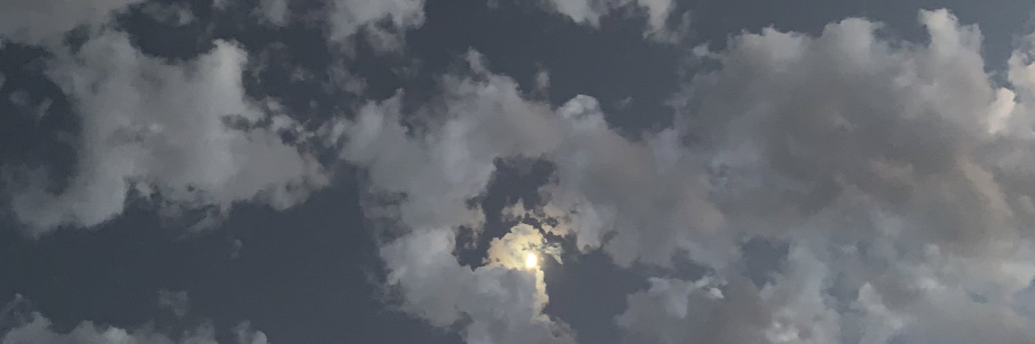 inesmolinae's profile banner image