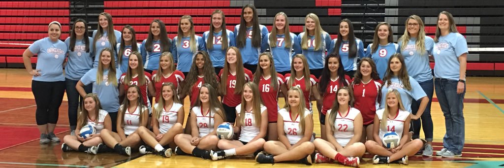 SHHS Volleyball banner