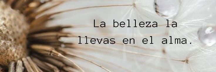 Yaritza Romero✨ banner