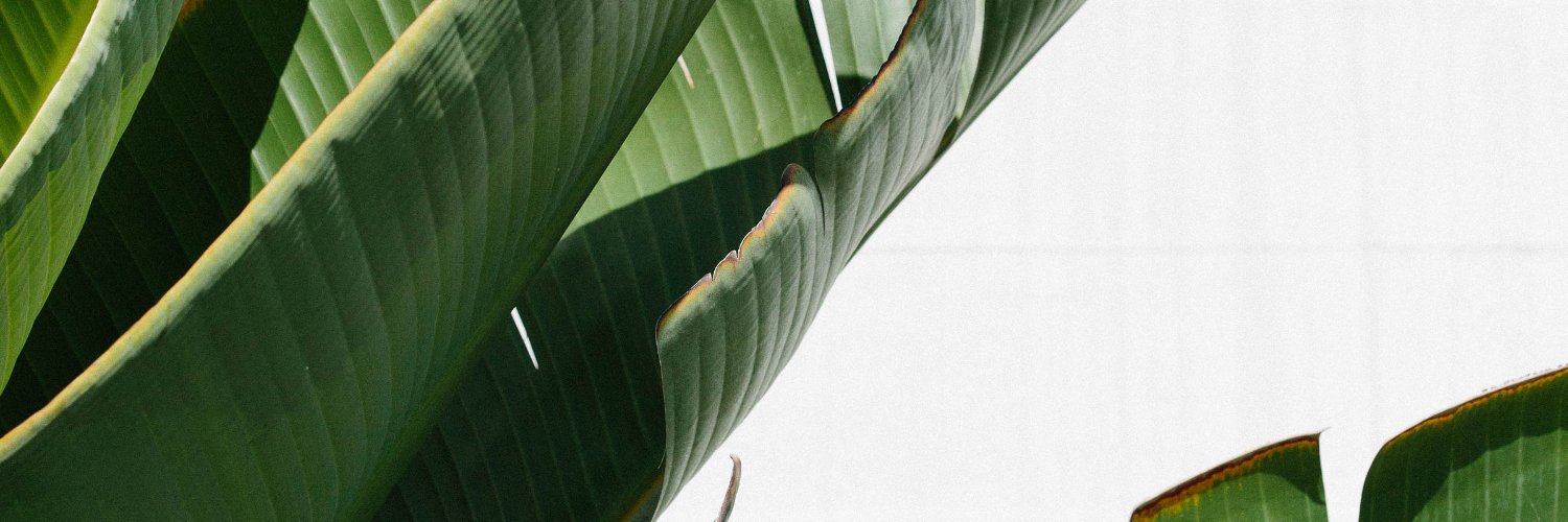 SkinLaundry's profile banner image