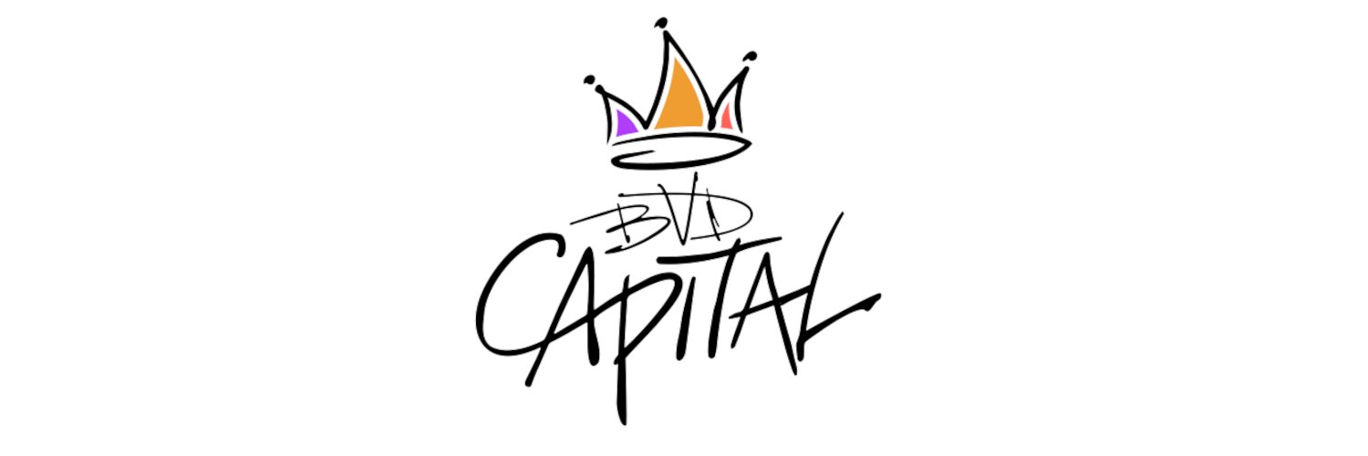 BVD CAPITAL Profile Banner
