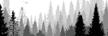 Alsiya_Misha's profile banner image