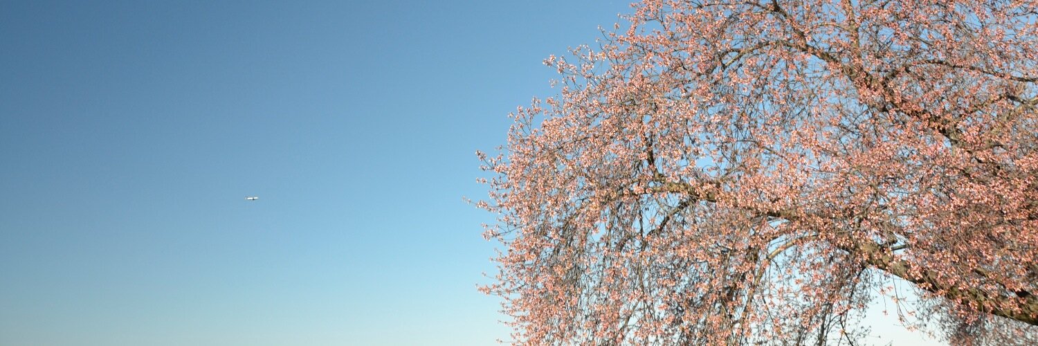 ad454's profile banner image