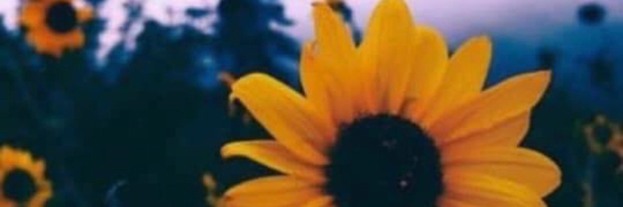 bjaay24's profile banner image