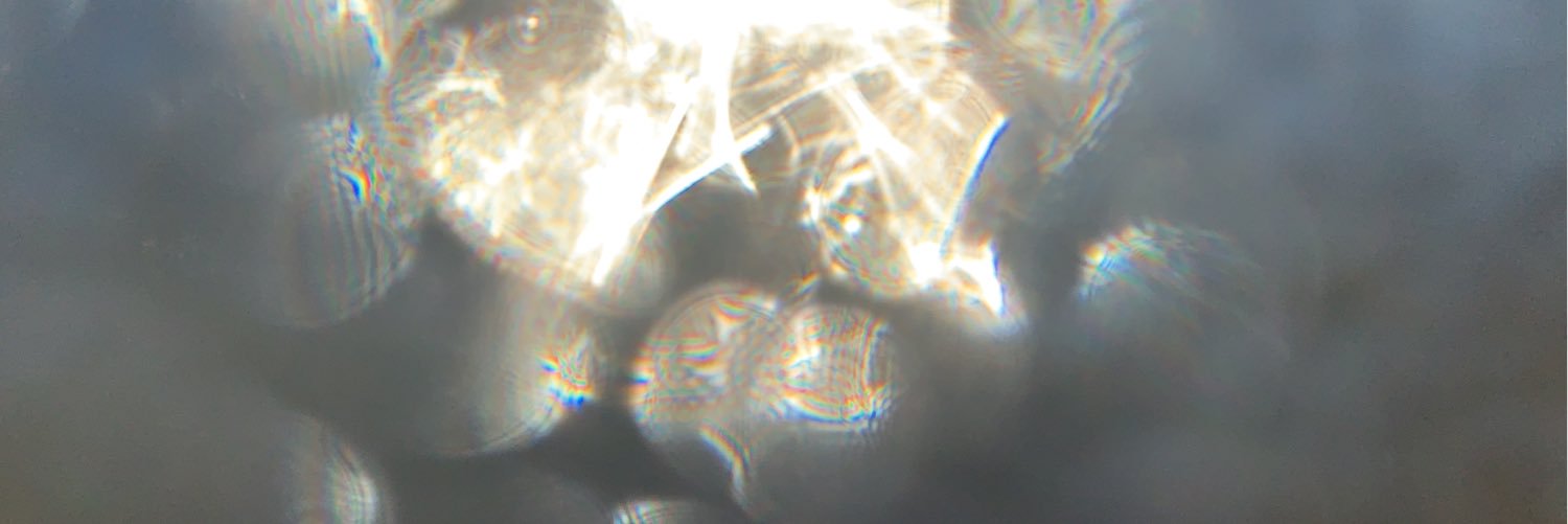 everysecrething's profile banner image