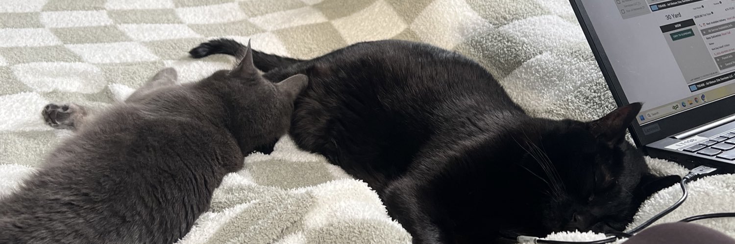 maryypip's profile banner image
