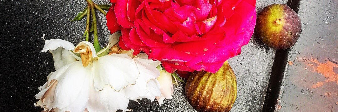 Marie Söderström banner