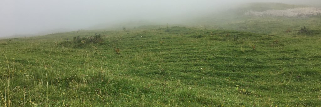 dsfava's profile banner image