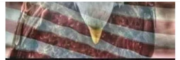 Nancy45529477 Profile Banner