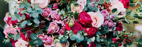 JuliB224 Profile Banner