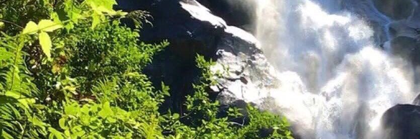 abusulttan2211's profile banner image