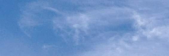 CeliaRidley1's profile banner image