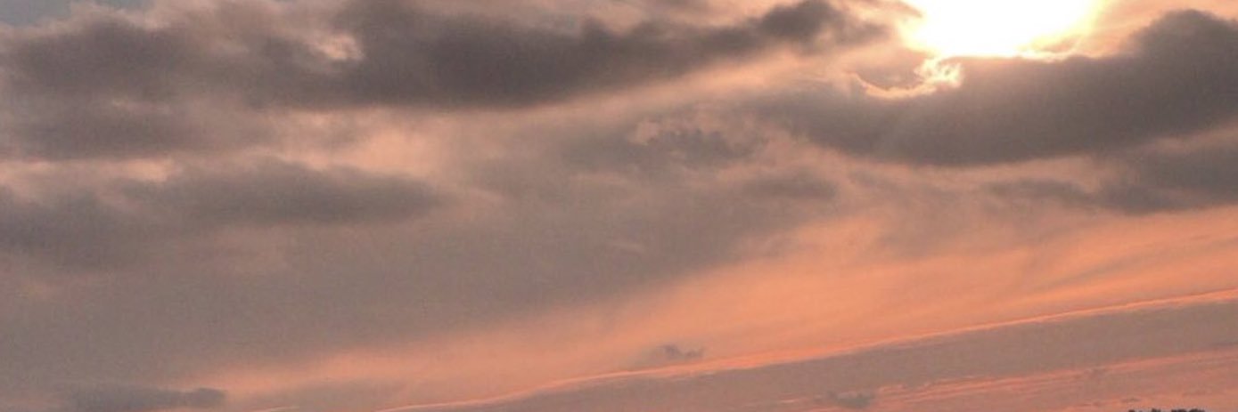 burcebilgin's profile banner image