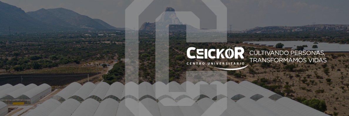 CEICKOR's profile banner image