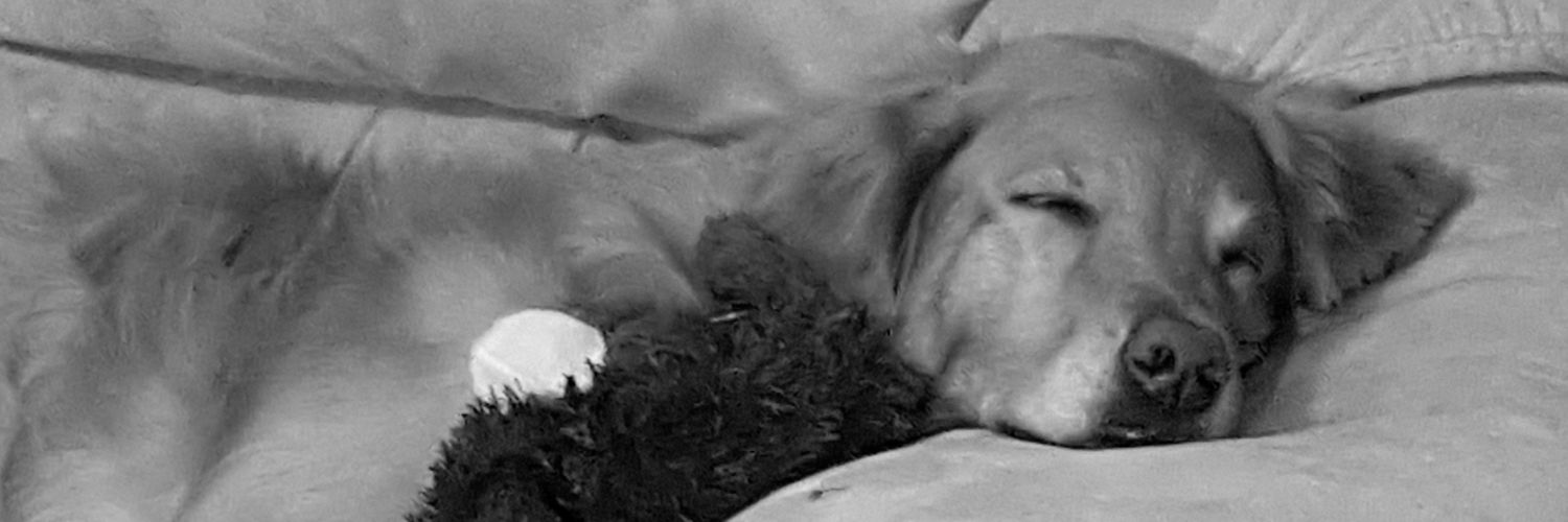 nanasmama 💙 banner