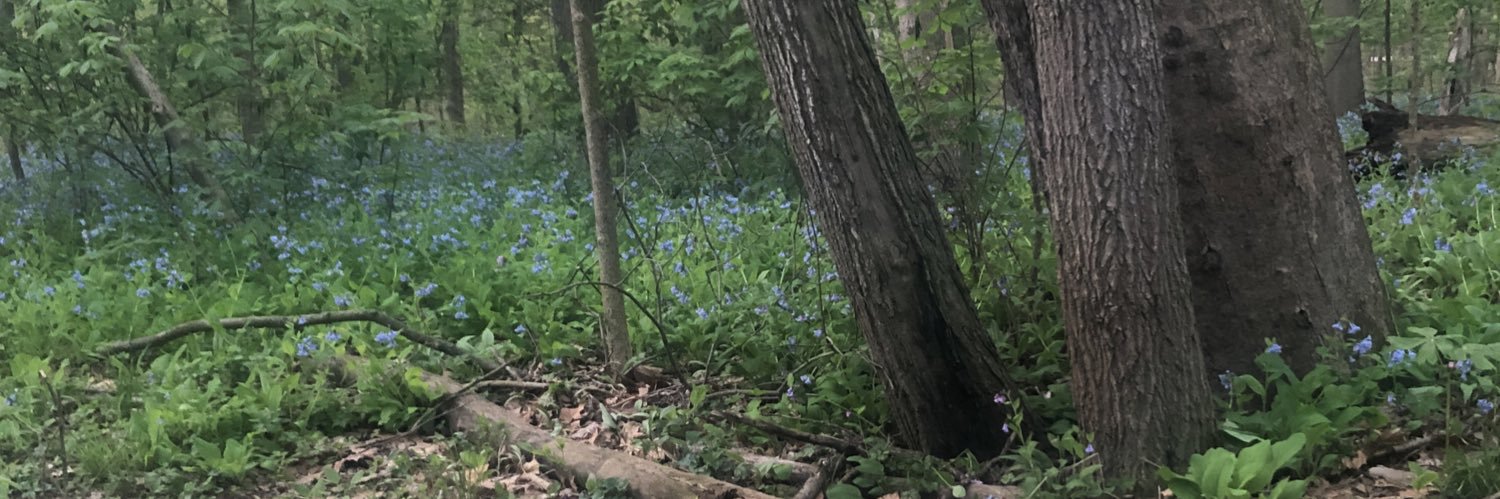 apattonn's profile banner image