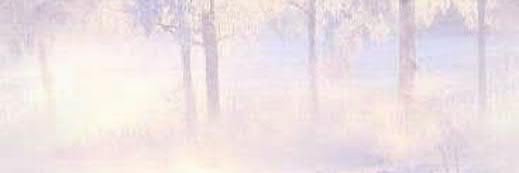 Rebecca Scaggs-Smith banner