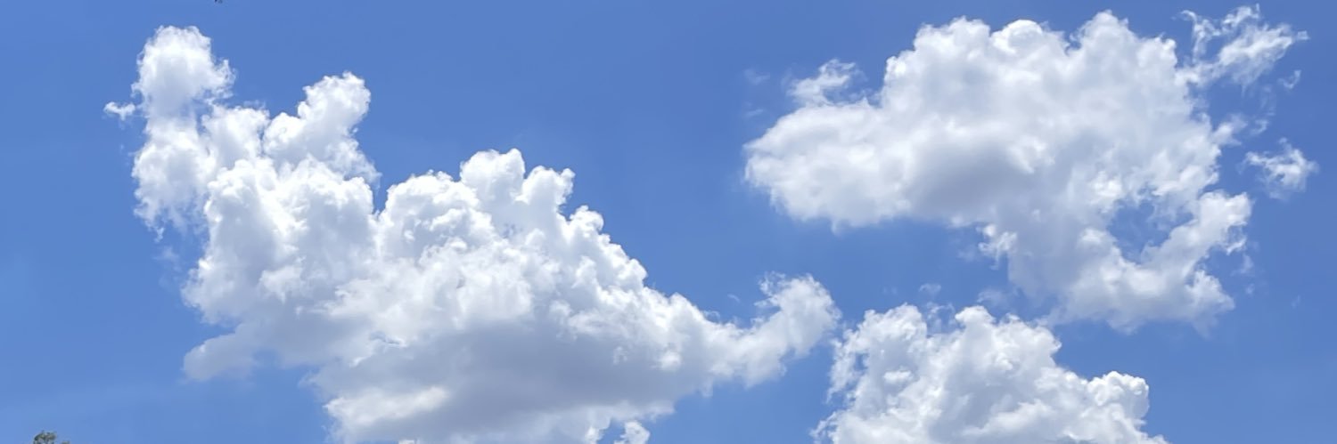 bel banner