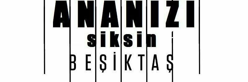 Mertisildk's profile banner image