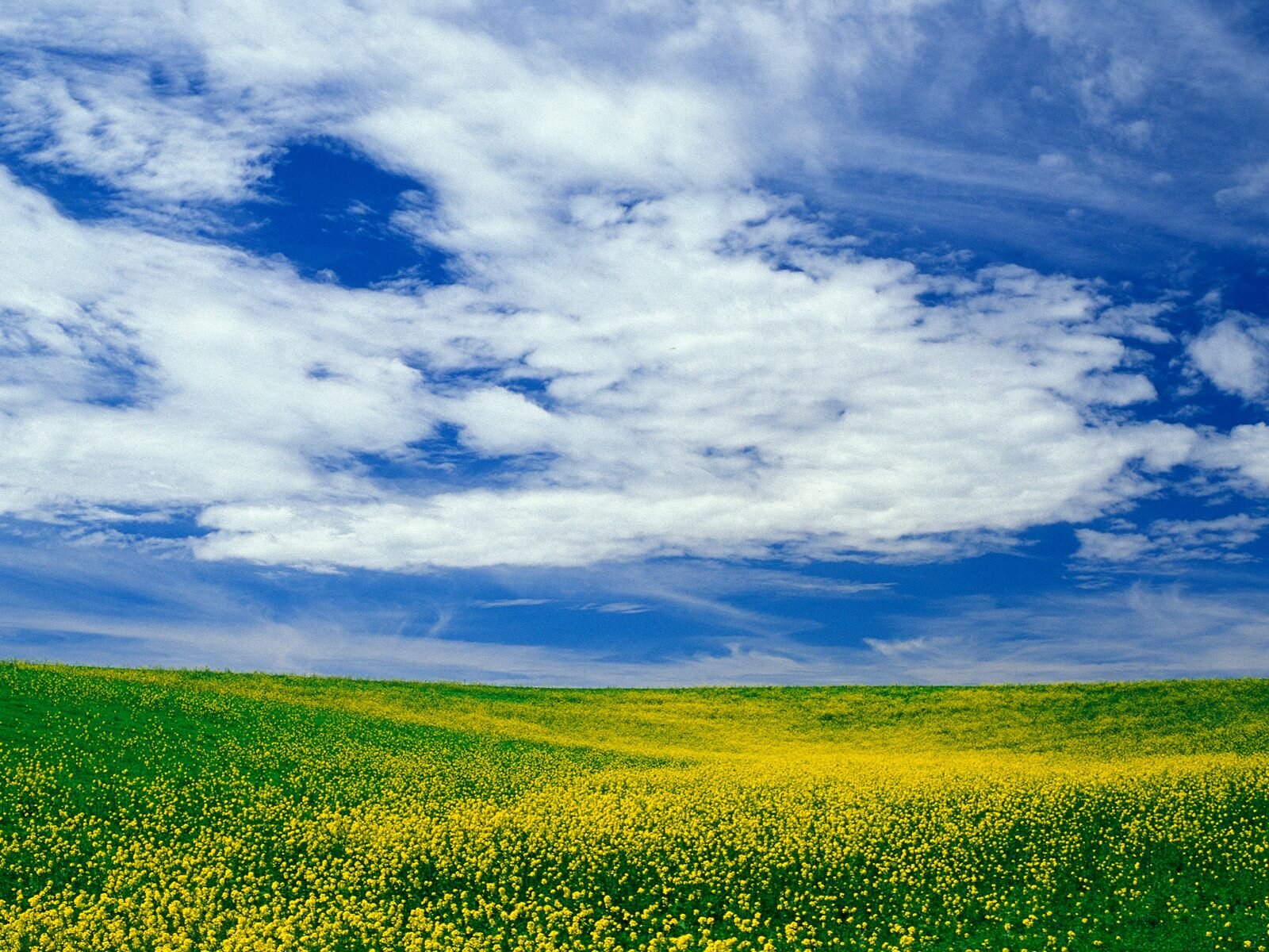cpluchka2's profile banner image