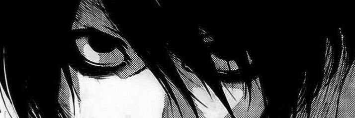 salem's banner