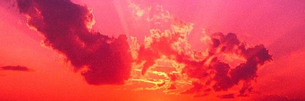 Ken Schachter banner