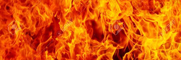 Countess FrightBat свобода FromTheRiverToTheSea banner