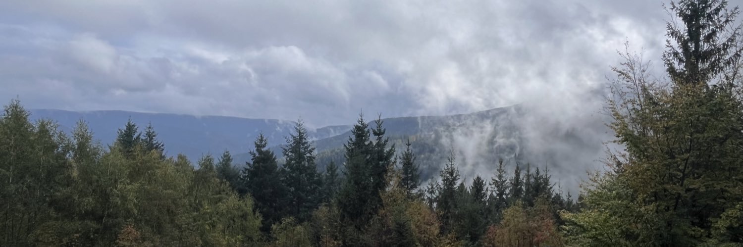 Claudia Finkbeiner banner