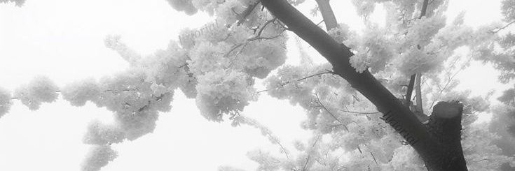 kjmlune's profile banner image