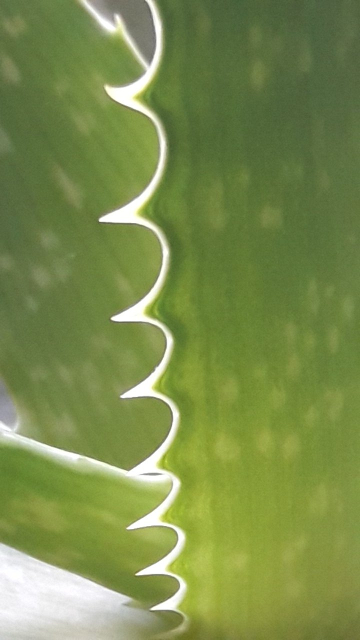 𝑱𝒂𝒗𝒊𝒆𝒓 𝑬. 𝑩𝑹𝑬𝑵𝑵𝑬𝑹 banner