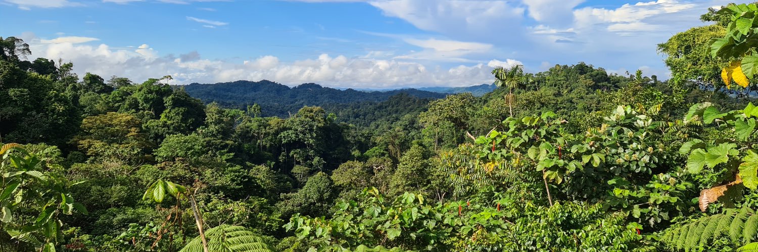 Priscille de Coninck banner