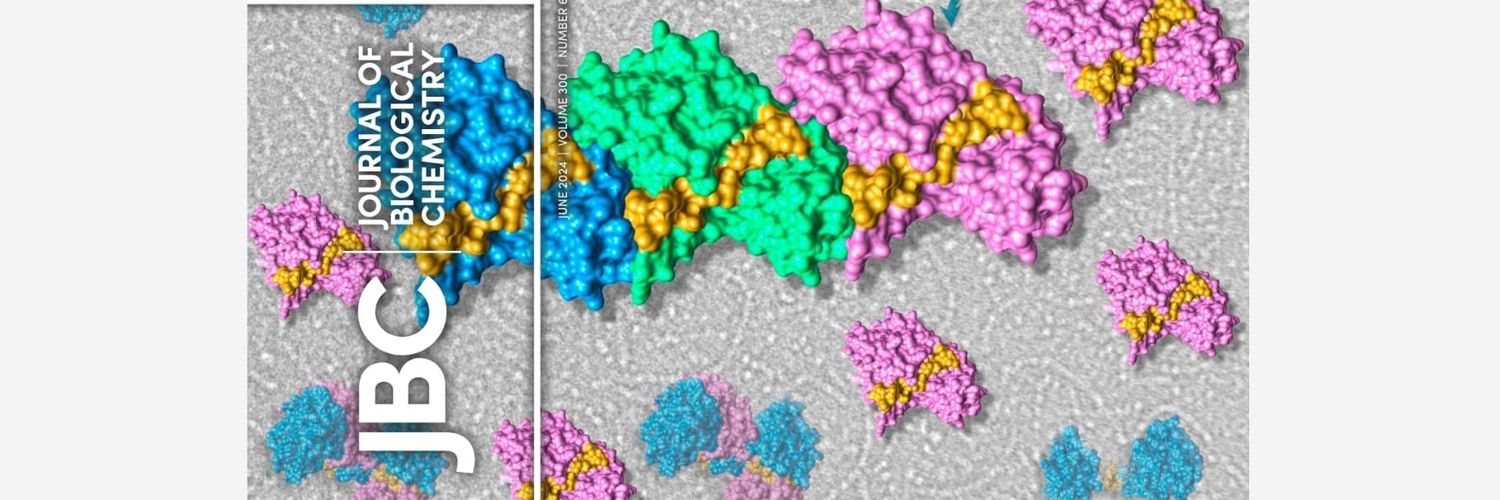 Joyeeta Chakraborty banner