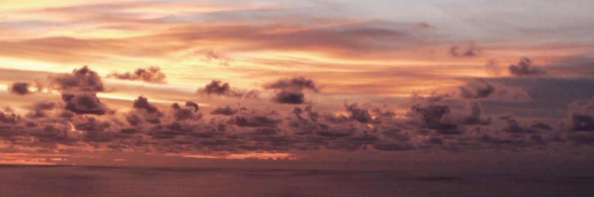syailendramar's profile banner image