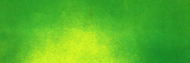 Lucía eugenia cervi banner