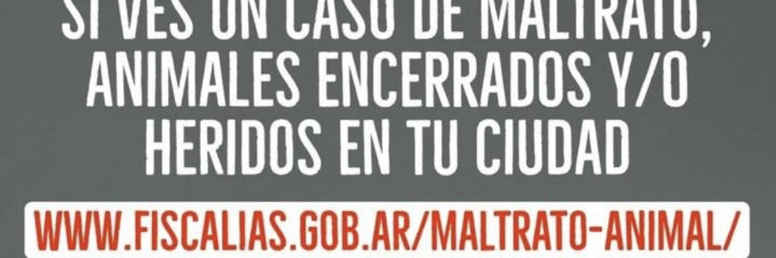 César Carozza banner