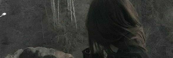 ziel vanya banner