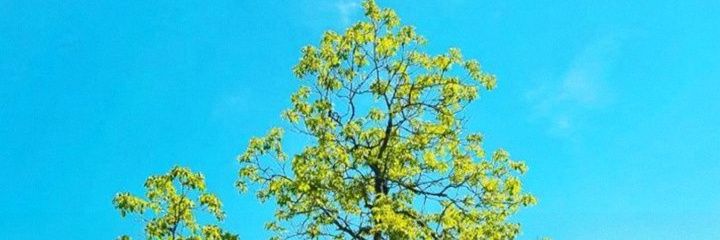 S_anonymous1210's profile banner image