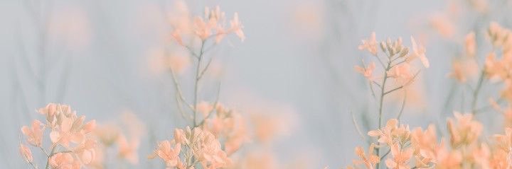 juliaessery's profile banner image