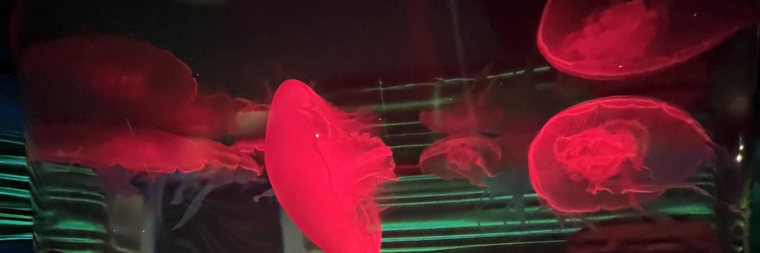 annahmorgan's profile banner image
