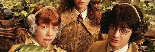 Albus Dumbledore™ banner