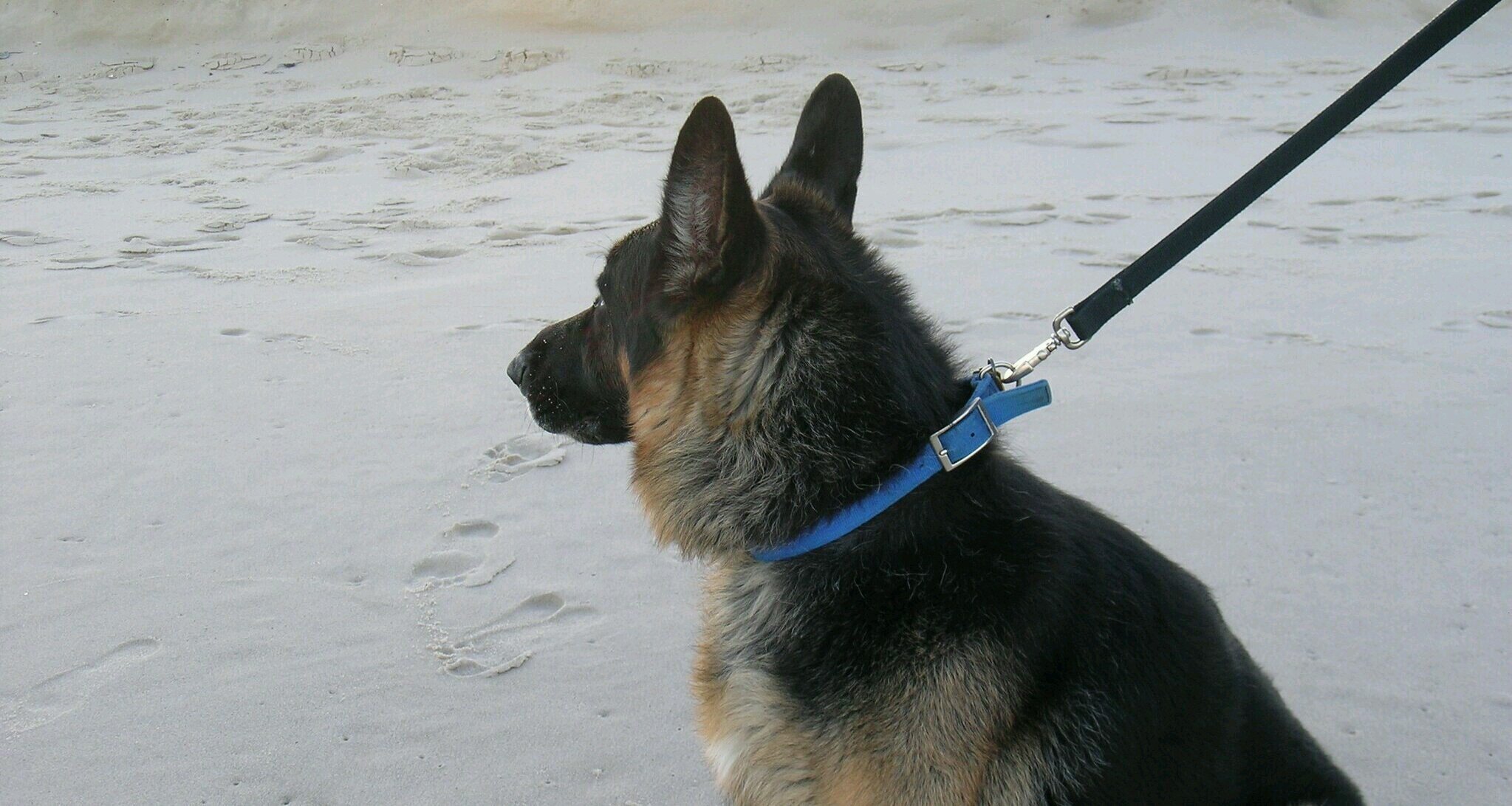 GeorgeHeppel's profile banner image