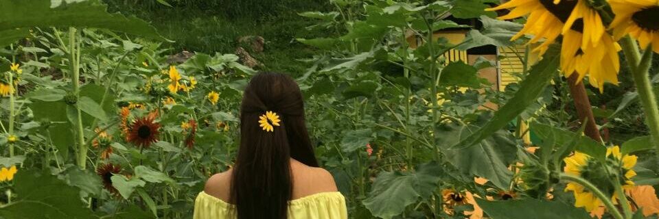 pamdiaries's profile banner image