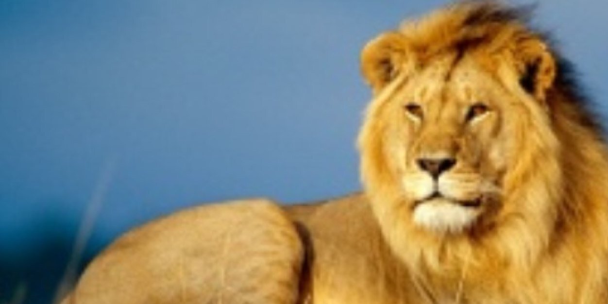 dbrick22's profile banner image