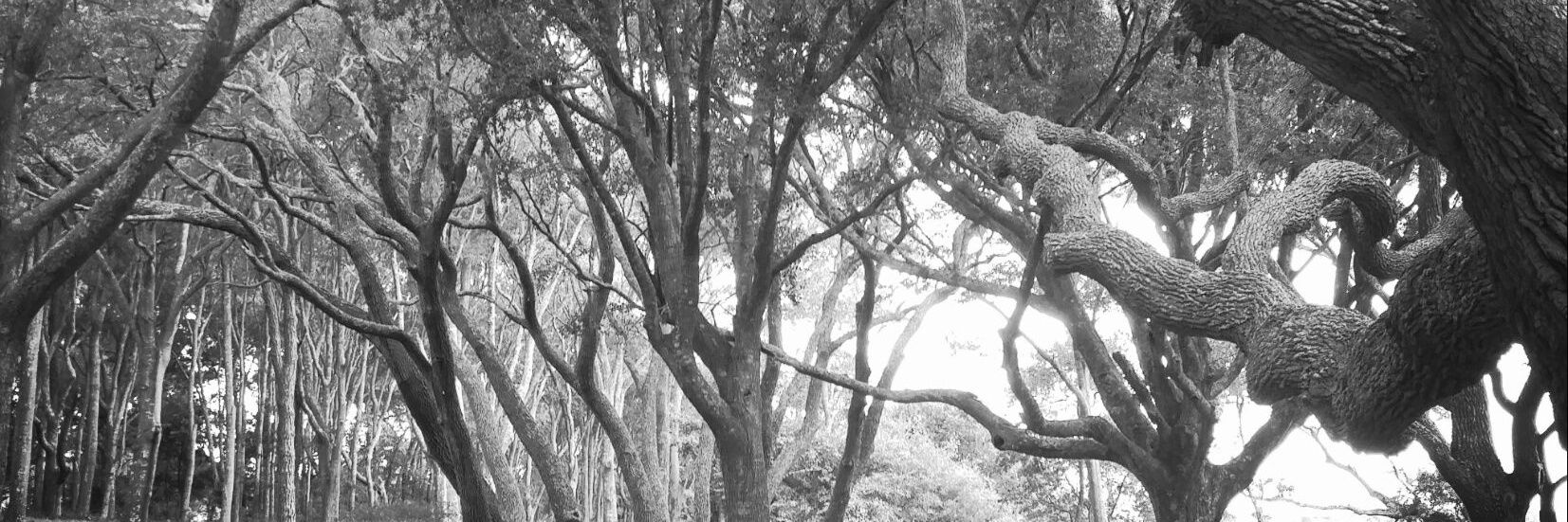 danilynn7028's profile banner image