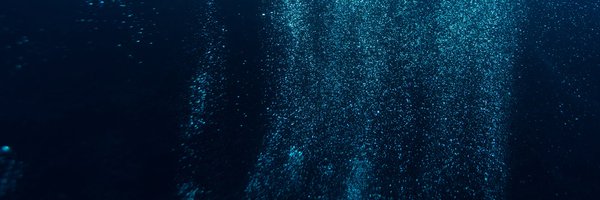 DeepSeaConserve Profile Banner