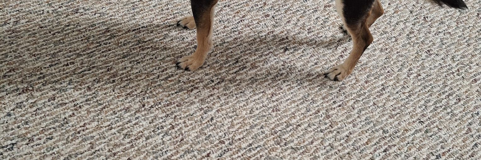 Senior Patriot banner