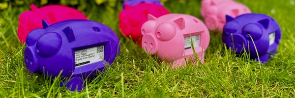 LightningPiggy Profile Banner