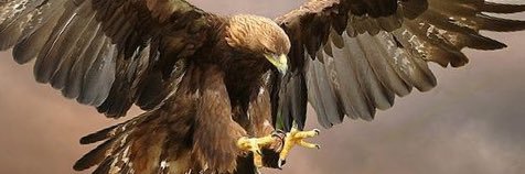 beemyls1's profile banner image