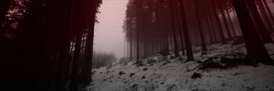 💀 banner